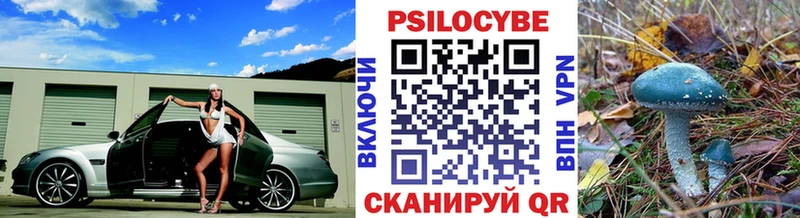 где купить наркотик  Ивдель  Псилоцибиновые грибы Psilocybine cubensis 