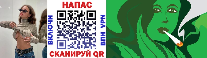 Бошки марихуана сатива  darknet официальный сайт  Ивдель 